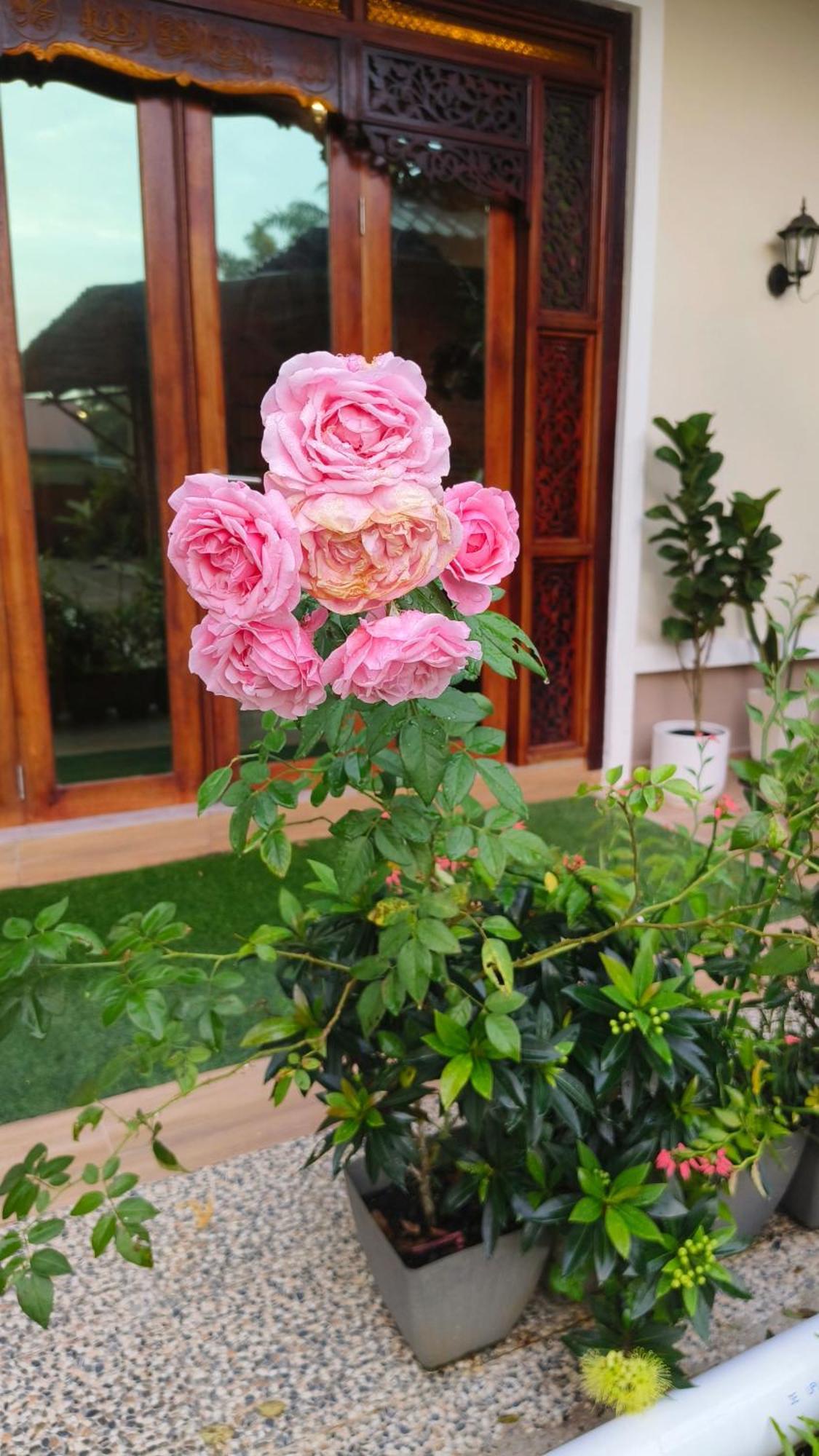 Bang Brahim Roomstay Parit Raja Exterior foto